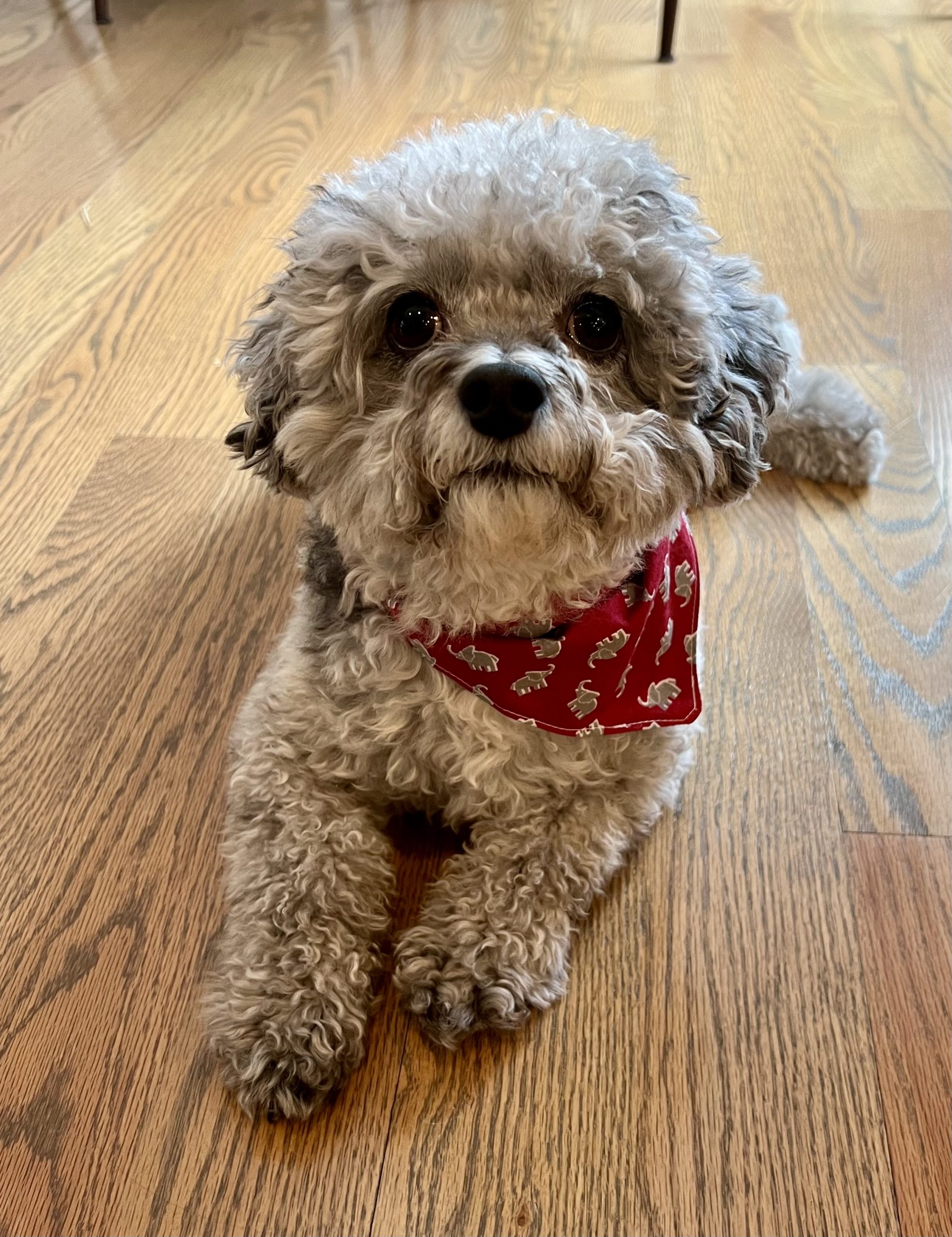 Home 2026 01 17 11.28.10