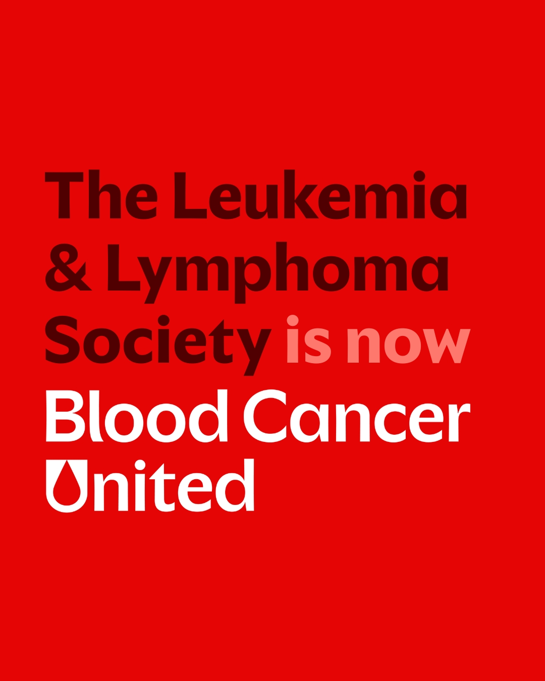 539792325 1223737703129418 7987985103102667142 n