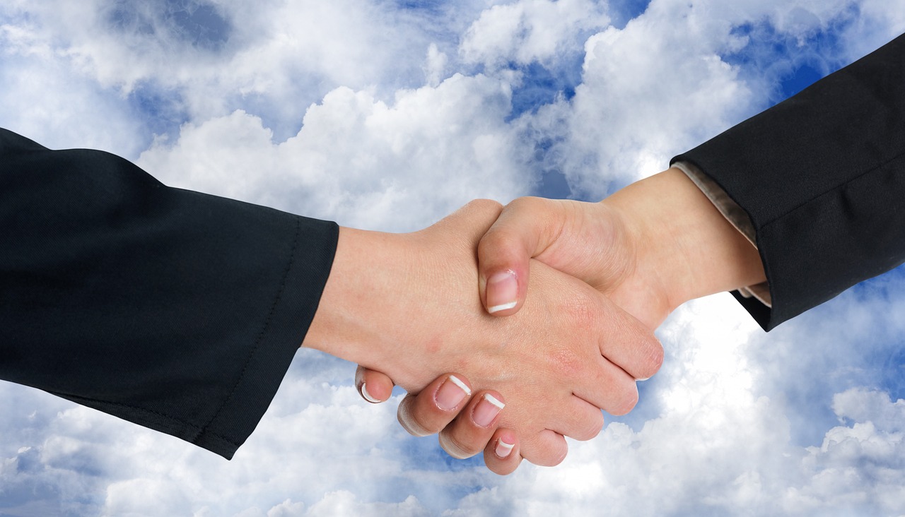 handshake, shaking hands, clouds, collaboration, nature, negotiation, business, teamwork, contract, hands, together, team, man, woman